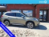 Subaru Forester 2024