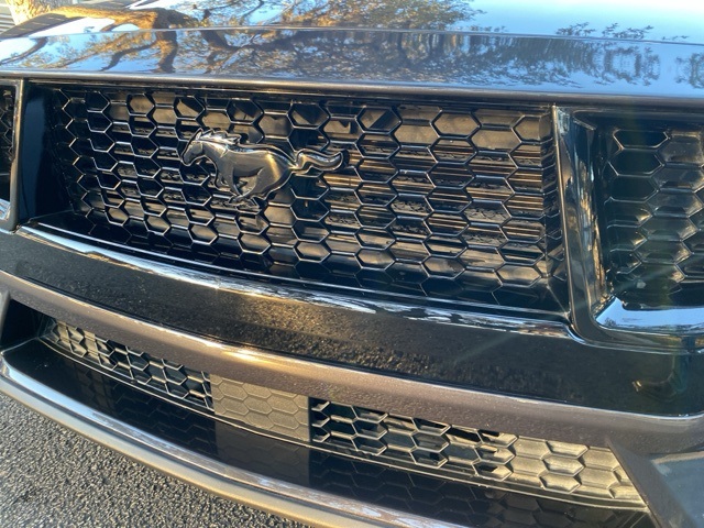 Used Car 2024 Ford Mustang  Gt For Sale Under $50,000 In San Antonio, Texas