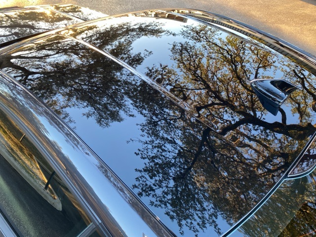 Used Car 2024 Ford Mustang  Gt For Sale Under $50,000 In San Antonio, Texas