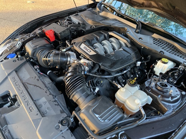 Used Car 2024 Ford Mustang  Gt For Sale Under $50,000 In San Antonio, Texas