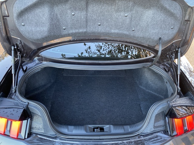 Used Car 2024 Ford Mustang  Gt For Sale Under $50,000 In San Antonio, Texas