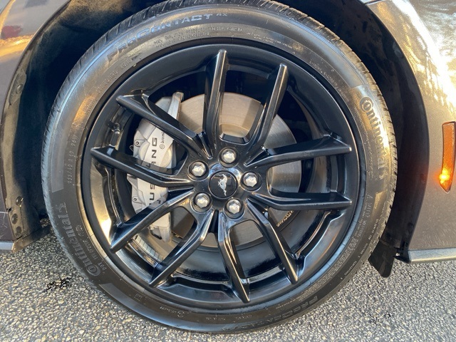 Used Car 2024 Ford Mustang  Gt For Sale Under $50,000 In San Antonio, Texas