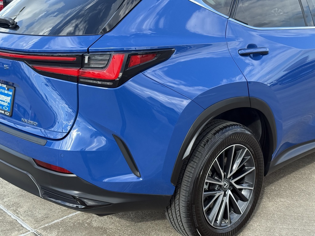 2025 Lexus NX 250 Premium - 10