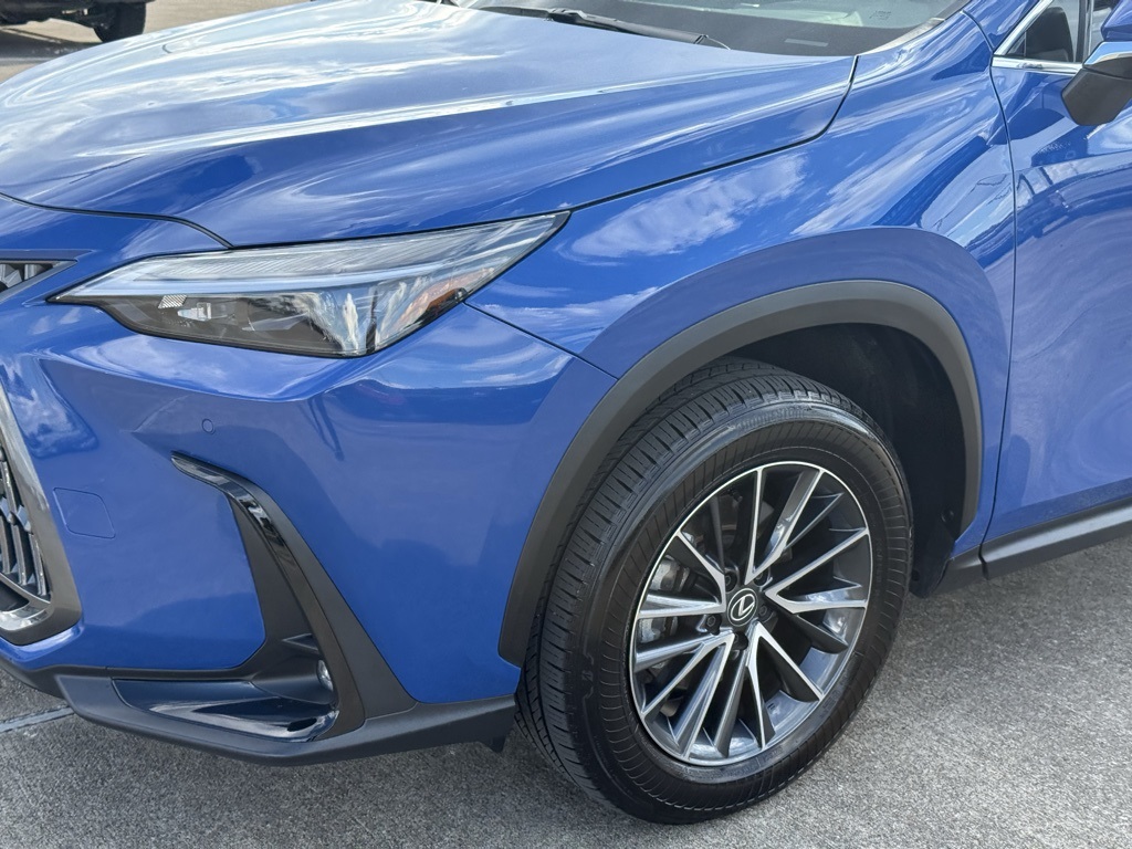2025 Lexus NX 250 Premium - 1