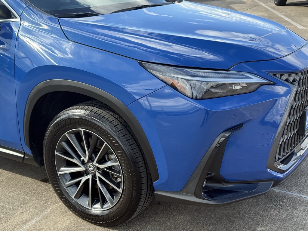 2025 Lexus NX 250 Premium - 5