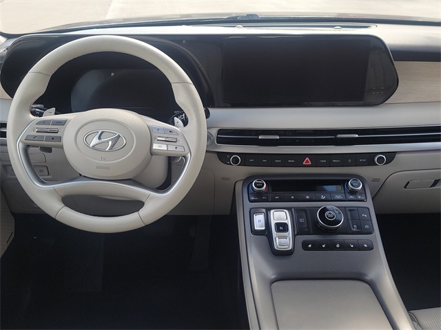 2024 Hyundai Palisade Limited - 10