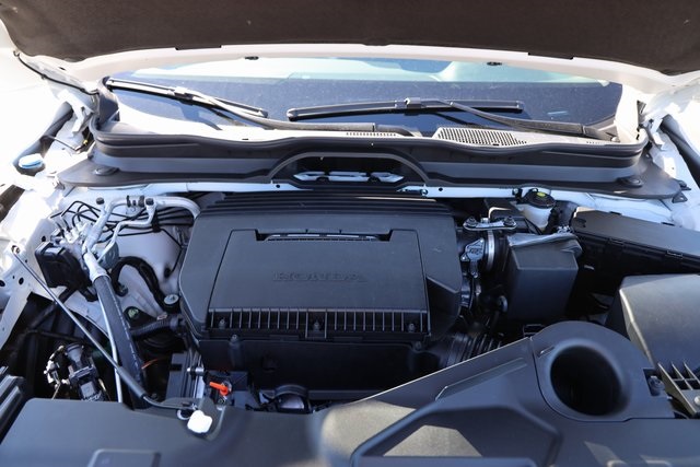 2025 Honda Pilot Touring White at Classic Honda Galveston