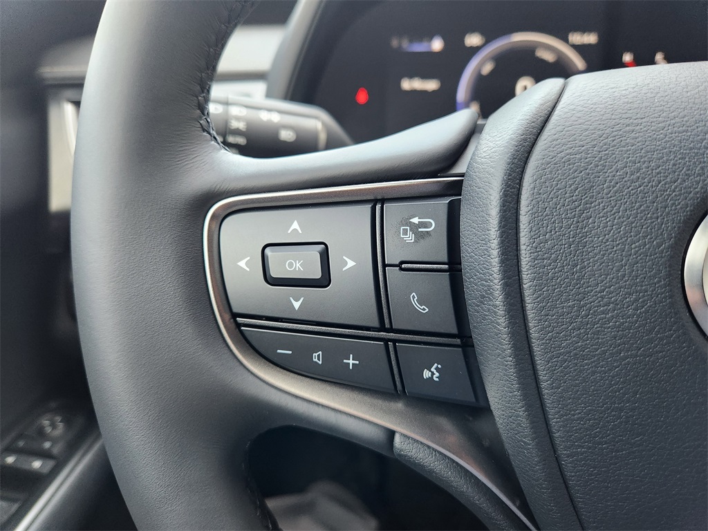 2025 Lexus UX  Gray at Westside Lexus