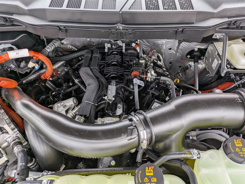 New 2025 Ford F-150 For Sale in Findlay, OH