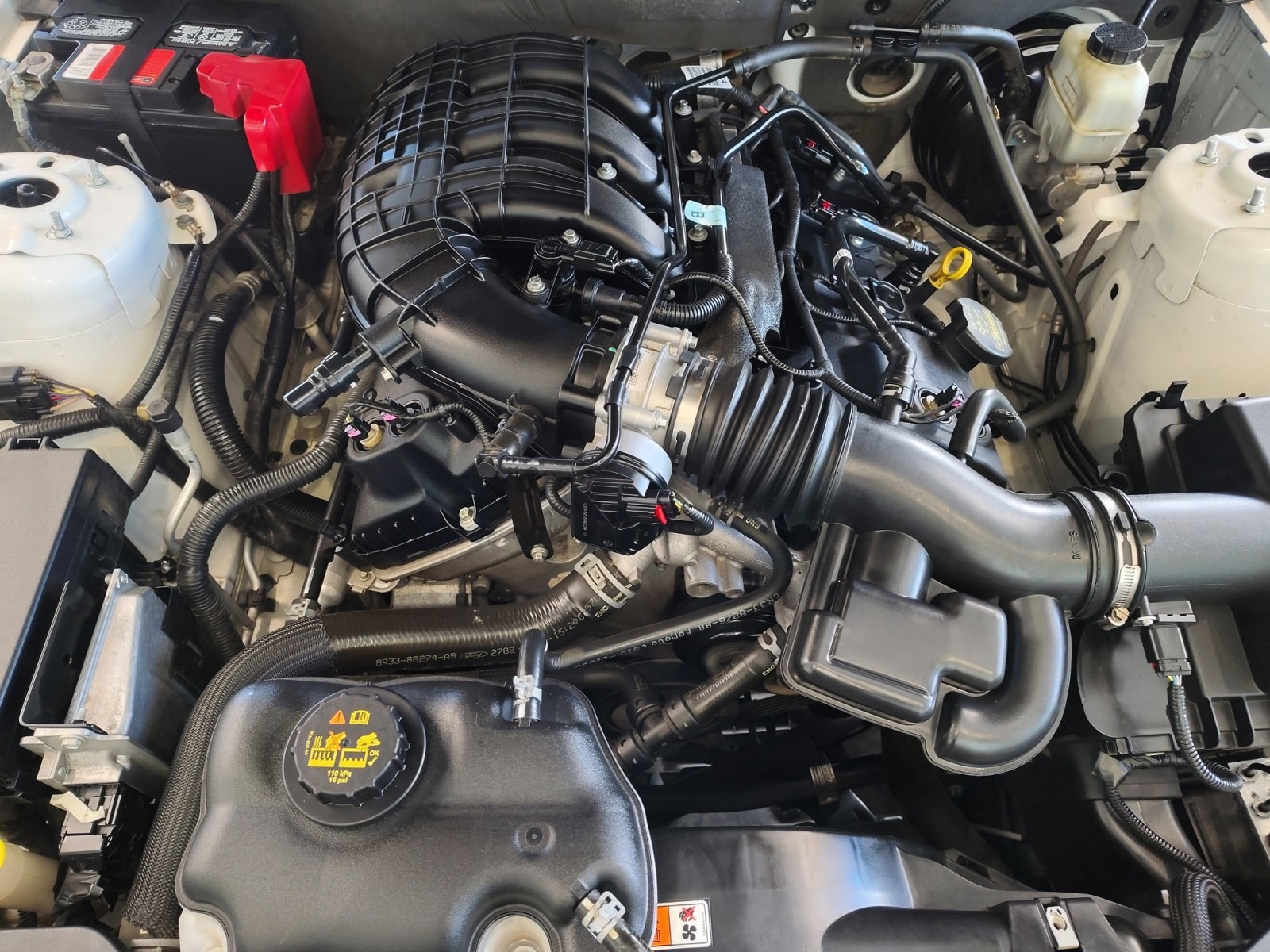 Used Car 2013 Ford Mustang  V6 For Sale Under $12,000 In San Antonio, Texas