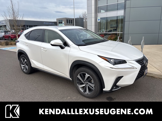 2018 Lexus NX 300 AWD