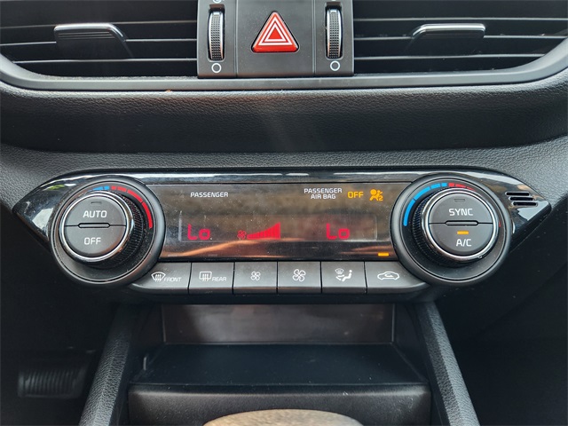 2019 Kia Forte LXS photo 17