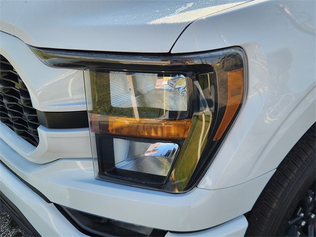 2015 Ford F-250SD Platinum White at Autostrade