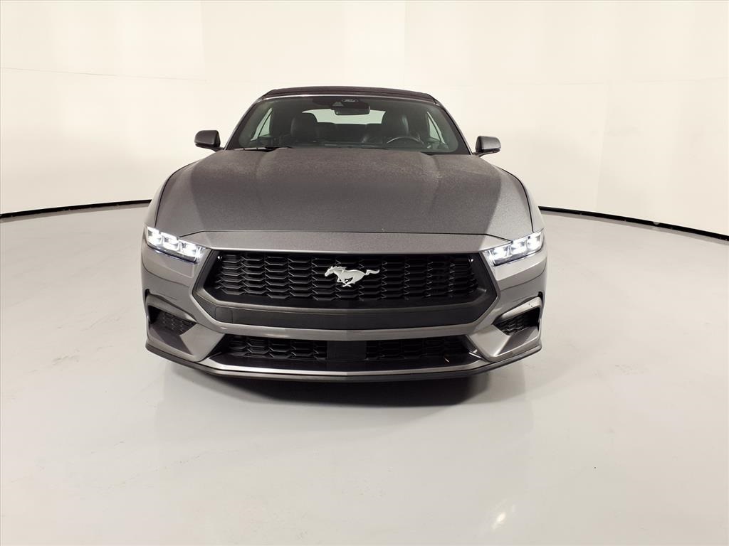 2024 Ford Mustang EcoBoost Premium Gray at Toyota of Victoria