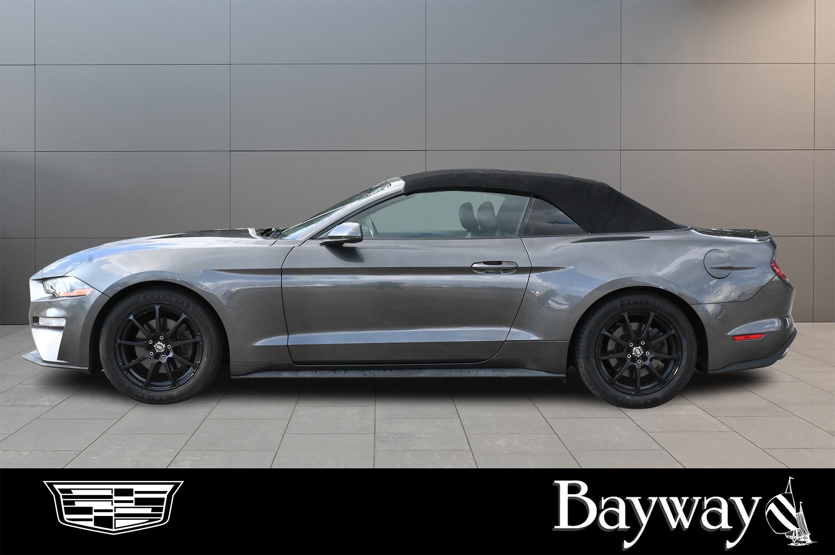 2019 Ford Mustang EcoBoost Premium Gray at DeMontrond Auto Country