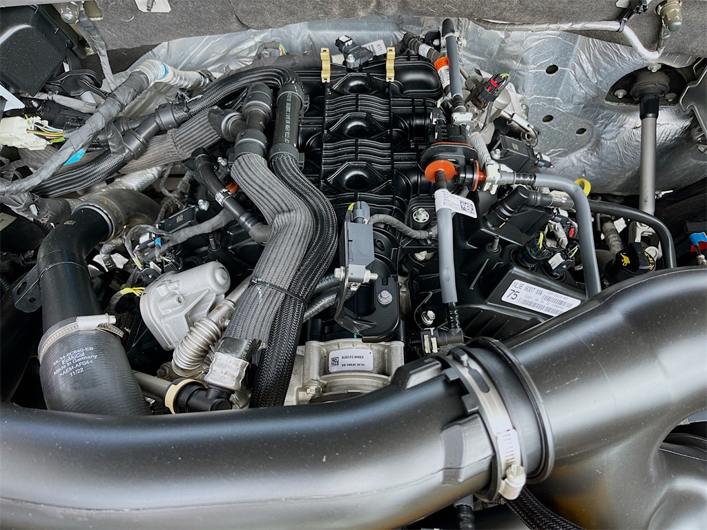 2023 Ford Expedition Timberline Green at Wharton Ford