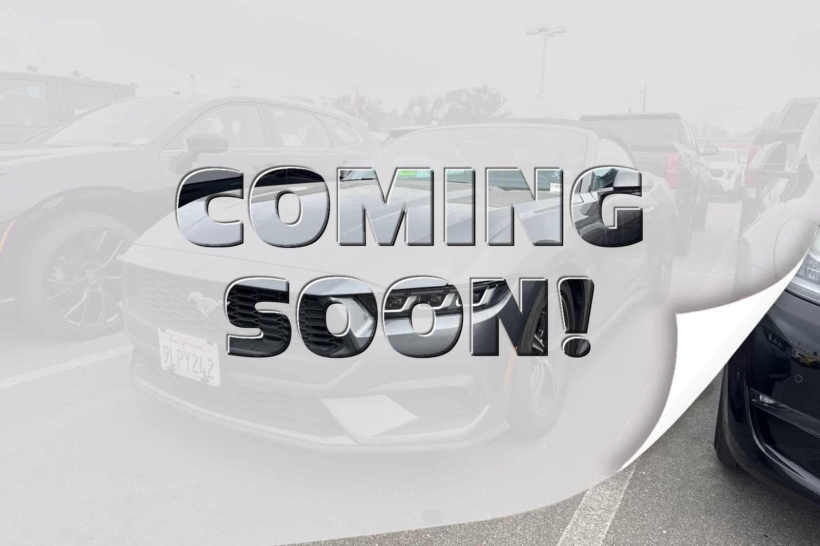 2024 Ford Mustang EcoBoost Premium Convertible RWD