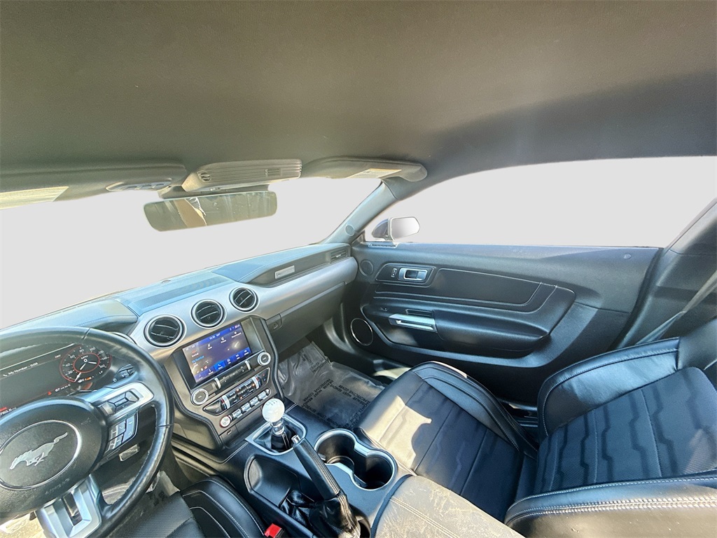 2022 Ford Mustang GT Premium Green at Big Star Chrysler Jeep Dodge Ram 