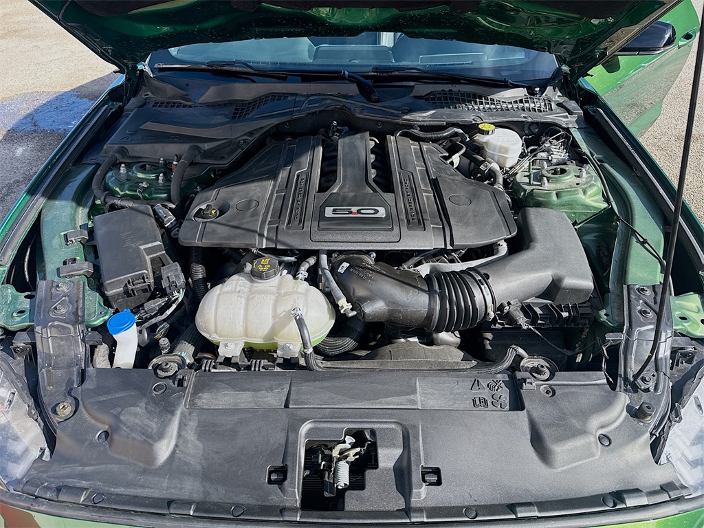 2022 Ford Mustang GT Premium Green at Big Star Chrysler Jeep Dodge Ram 