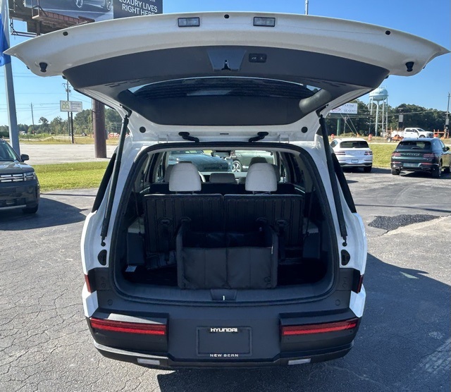 HyundaiSanta Fe Hybrid4