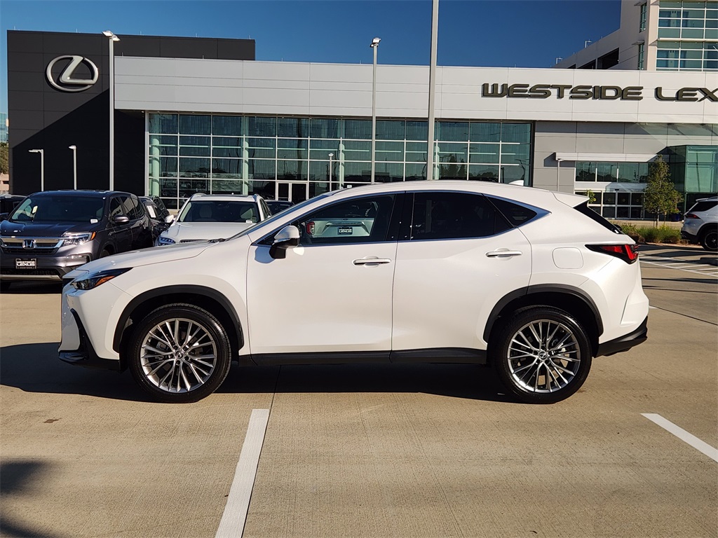 2022 Lexus NX 350 Premium White at Shottenkirk Kia Fort Bend