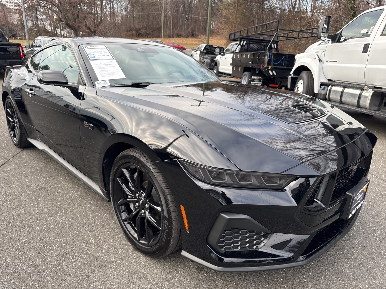 2025 Ford Mustang GT Premium Fastback RWD