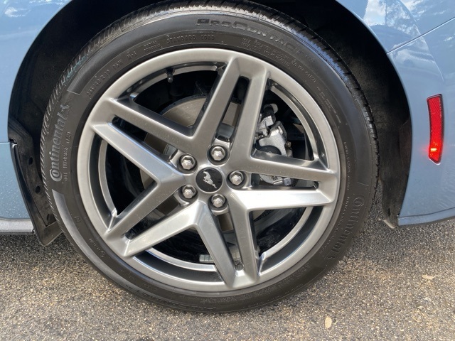 Used Car 2024 Ford Mustang  Ecoboost For Sale Under $30,000 In San Antonio, Texas