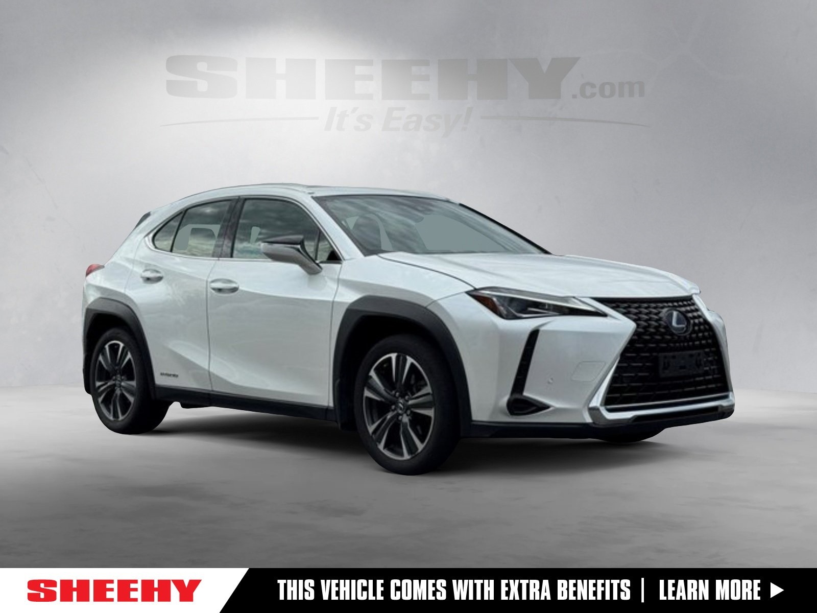 2019 Lexus UX Hybrid 250h AWD
