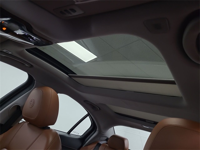 2019 – Alfa Romeo – Giulia