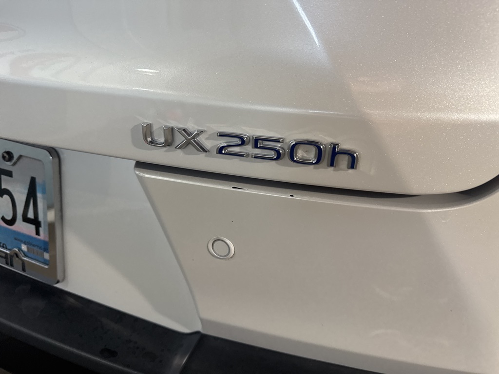 Thumbnail: 2020 Lexus UX - 20