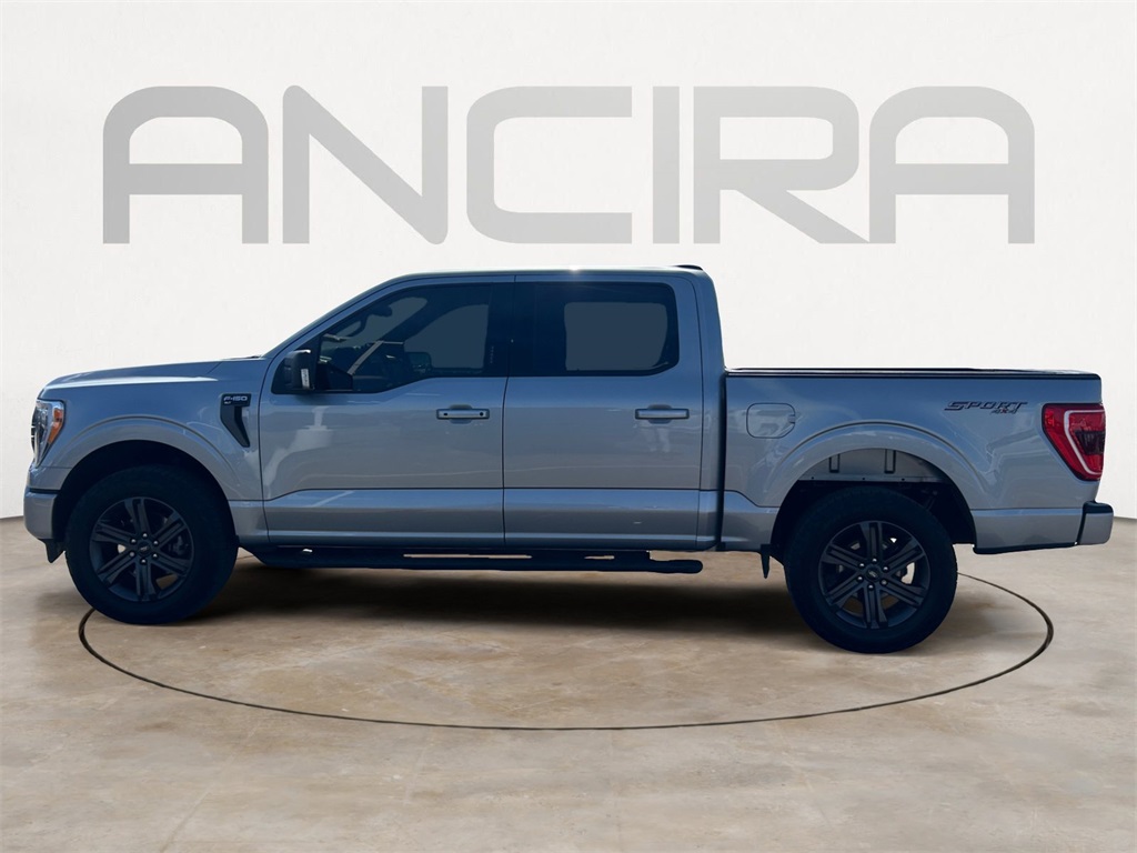 Used Car 2023 Ford F-150  Xlt For Sale Under $50,000 In Floresville, Texas