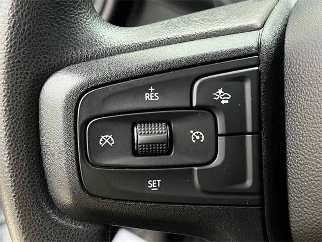 2024 Chevrolet Silverado 1500 Custom Trail Boss - 10