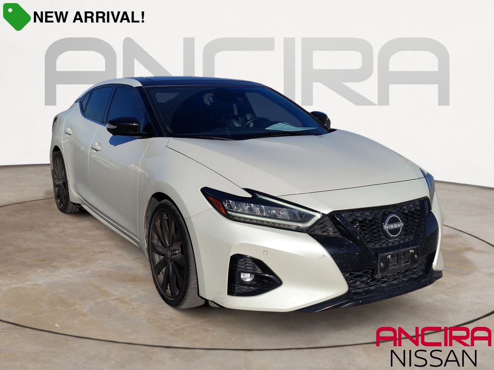 Used Car 2023 Nissan Maxima  Sr For Sale Under $35,000 In San Antonio, Texas