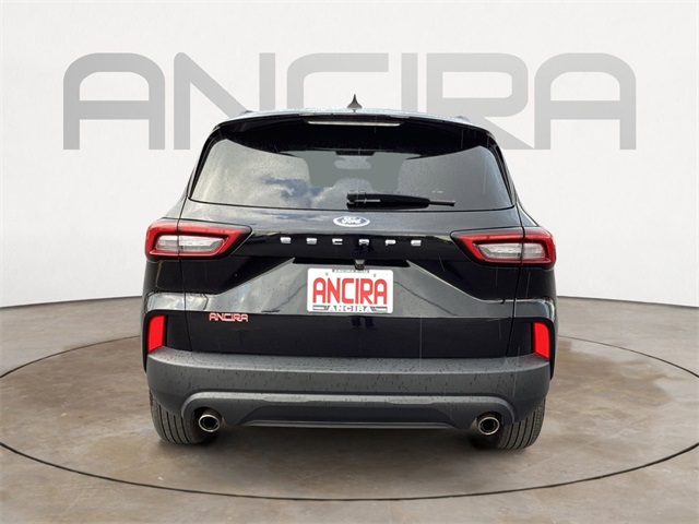 Used Car 2025 Ford Escape  St-line For Sale In San Antonio, Texas