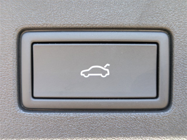 2025 Volkswagen Tiguan 2.0T SE R-Line Black Gray at Stokes Volkswagen