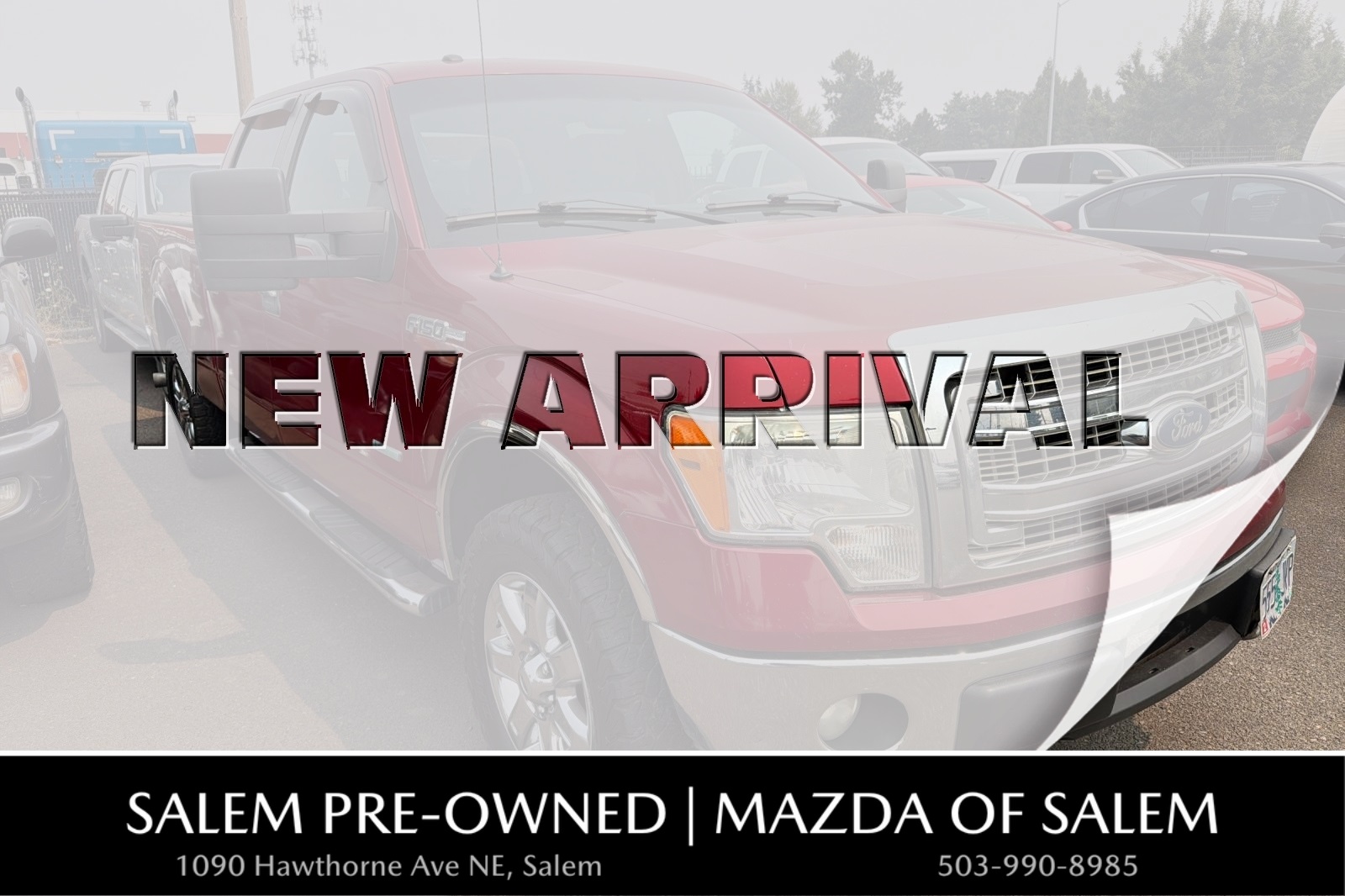 2013 Ford F-150 XLT