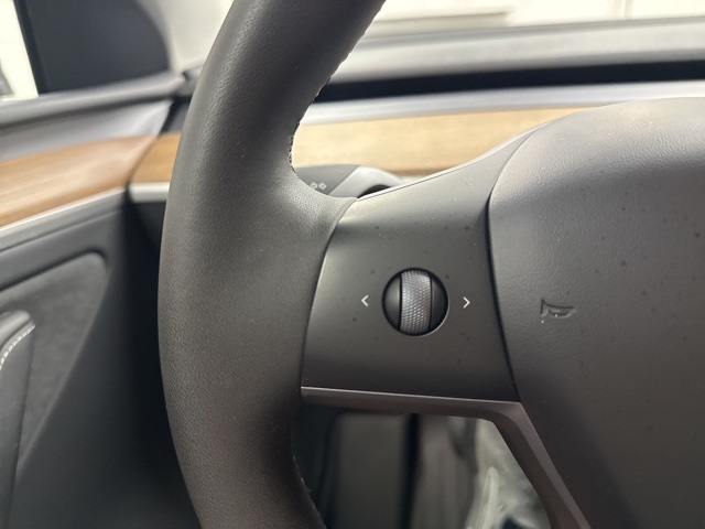 2023 Tesla Model Y Long Range photo 15