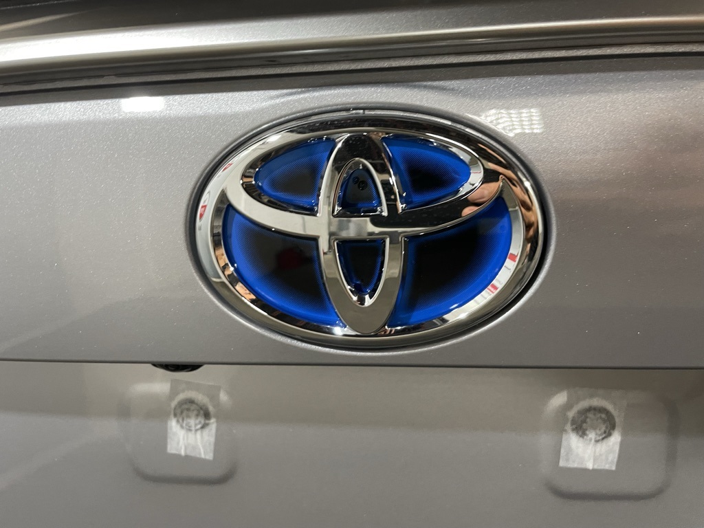 Thumbnail: 2025 Toyota RAV4 - 24
