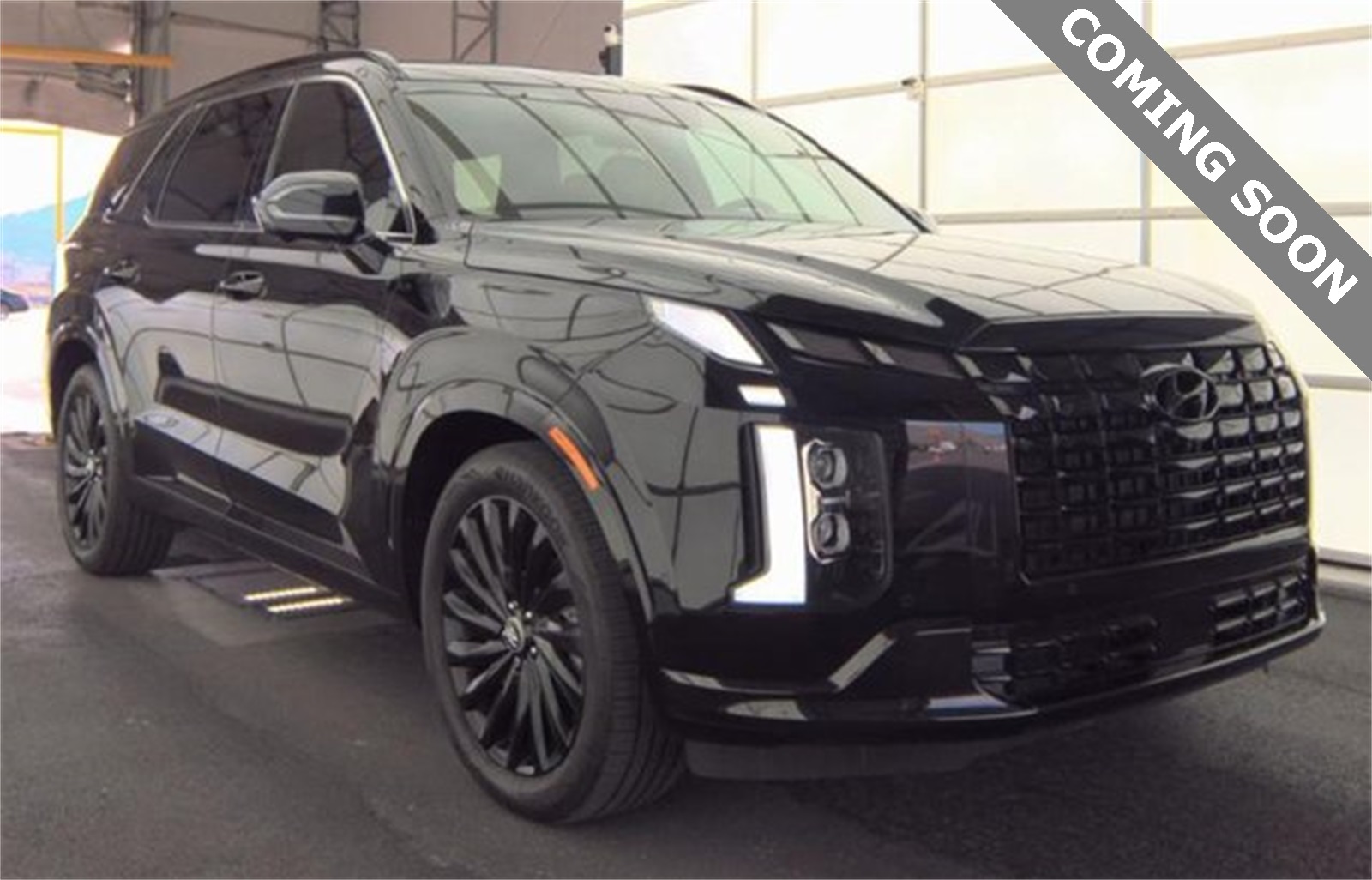 2024 Hyundai Palisade Calligraphy Night Edition