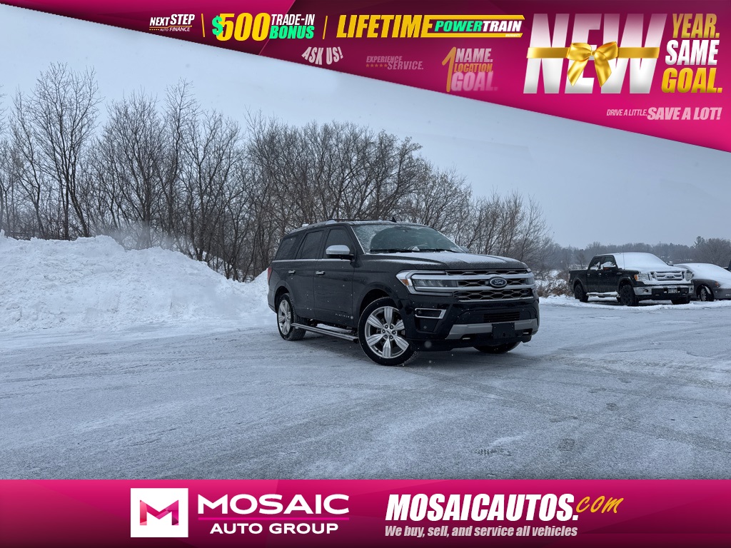 2023 Ford Expedition Platinum's photo