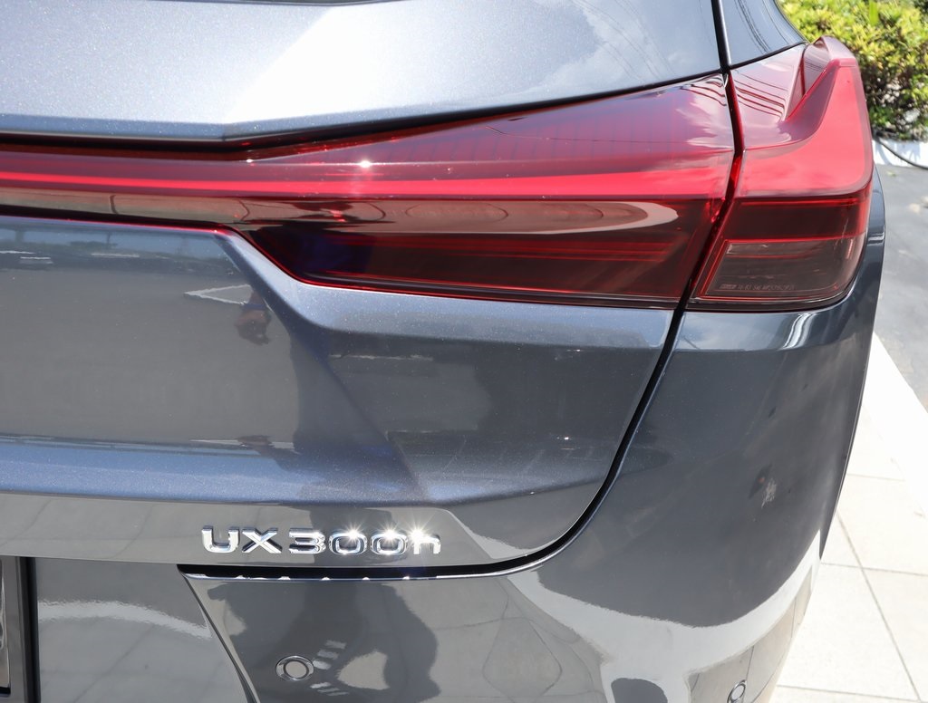 Thumbnail: 2025 Lexus UX - 19