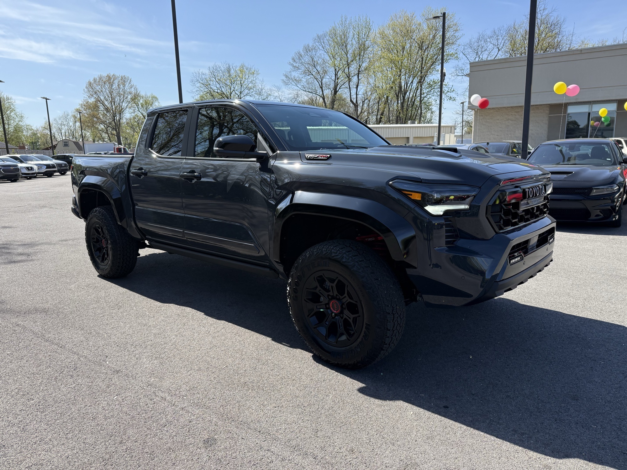 2019 Tesla Model X Performance photo 12
