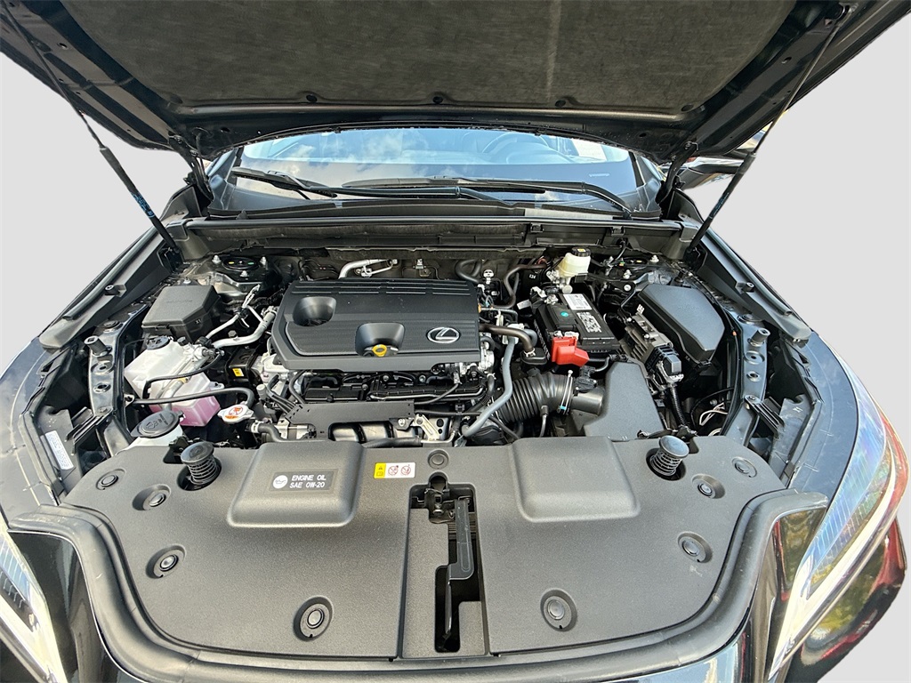 2025 Lexus NX 250 Premium Black at Westside Lexus