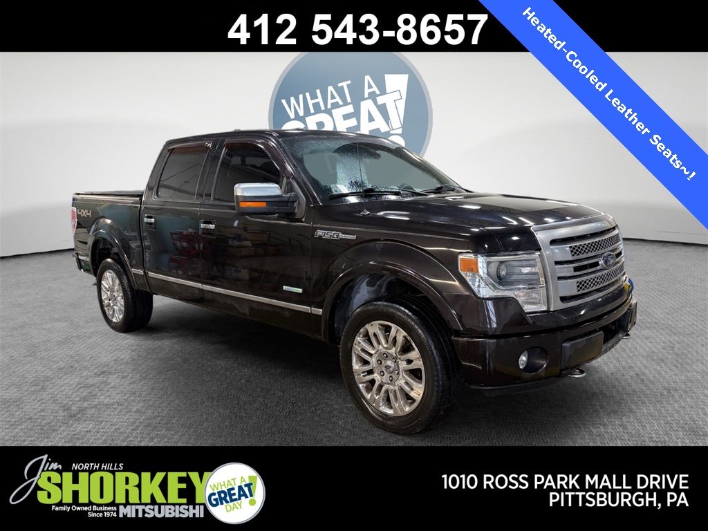 2013 Ford F-150 Platinum SuperCrew 4WD