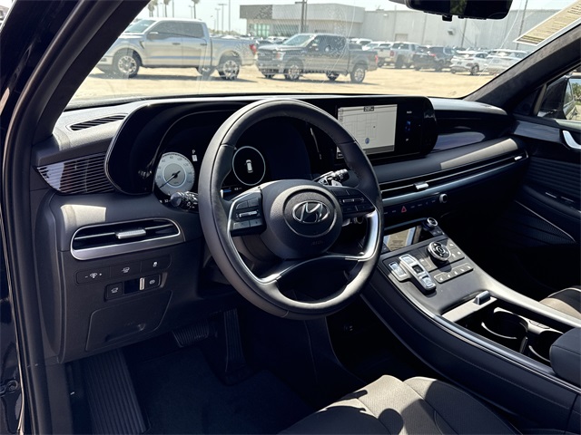 2025 Hyundai Palisade Calligraphy Night Edition - 10