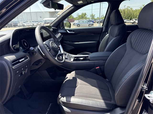 2025 Hyundai Palisade Calligraphy Night Edition - 11