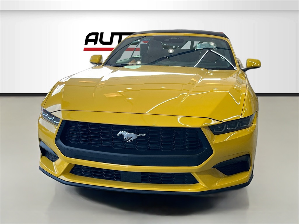 2024 Ford Mustang EcoBoost Premium Yellow at Victoria Chrysler Dodge Jeep Ram