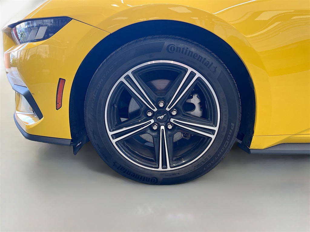 2024 Ford Mustang EcoBoost Premium Yellow at Victoria Chrysler Dodge Jeep Ram