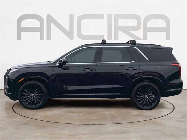 Used Car 2025 Hyundai Palisade  Calligraphy Night Edition For Sale Under $50,000 In San Antonio, Texas