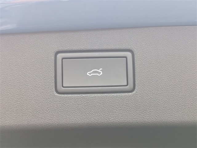 2026 Volkswagen Tiguan 2.0T SE Blue at Stokes Volkswagen